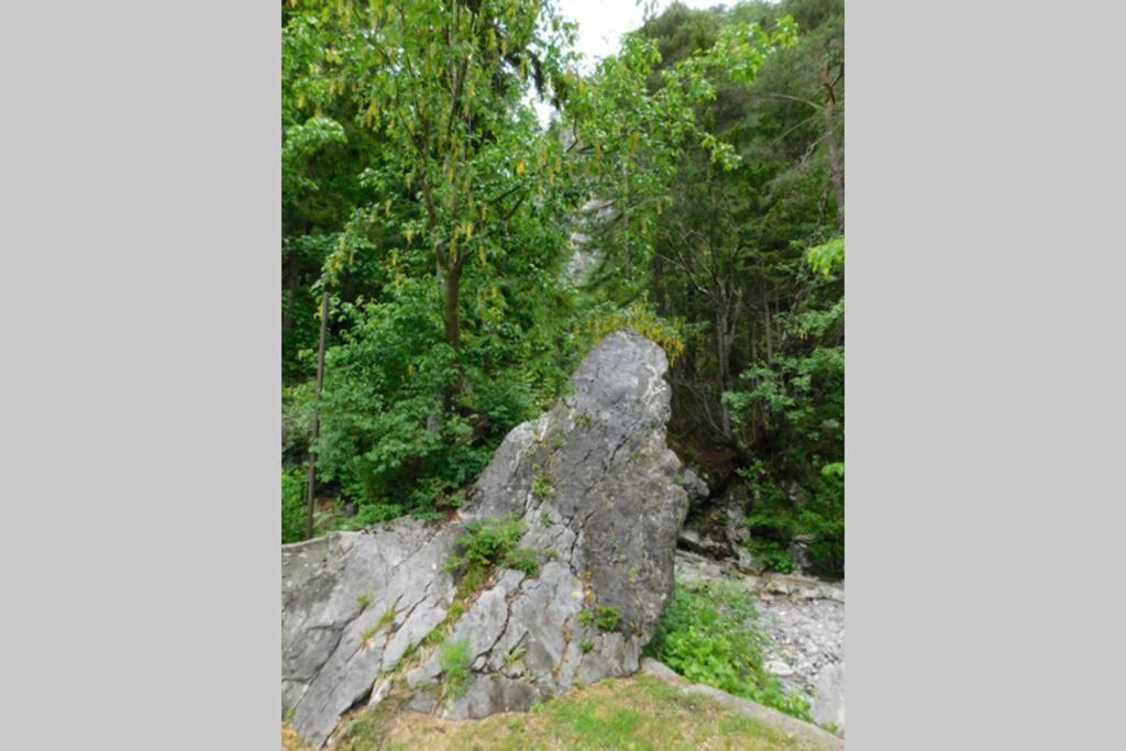 Rezidenca Mitja Villa Kranjska Gora Kültér fotó